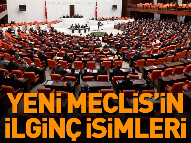 25. Dönem Parlamentosu'na renkli ve ilginç isimler