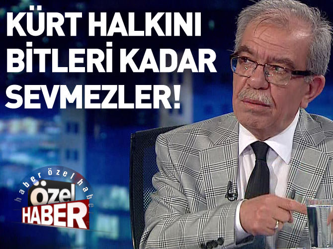 Beyaz Türkler, Kürt halkını bitleri kadar sevmezler