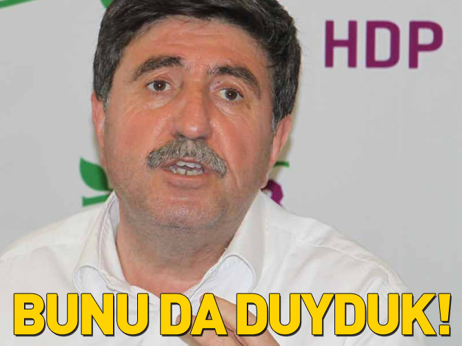 HDP'li Altan Tan: Hükümeti biz kuralım, dışarıdan desteklesinler