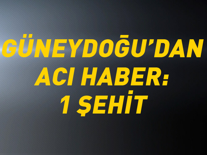 Askerleri taşıyan midibüs şarampole uçtu: 1 şehit