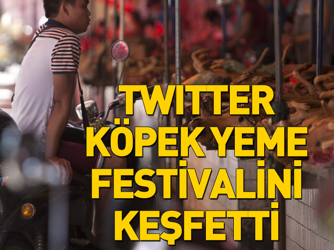 'Köpek yeme festivali'ne tepki yağıyor