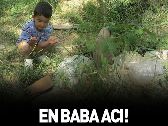 En baba acı!