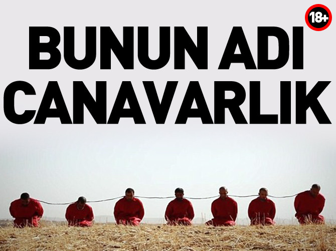 Bunun adı canavarlık