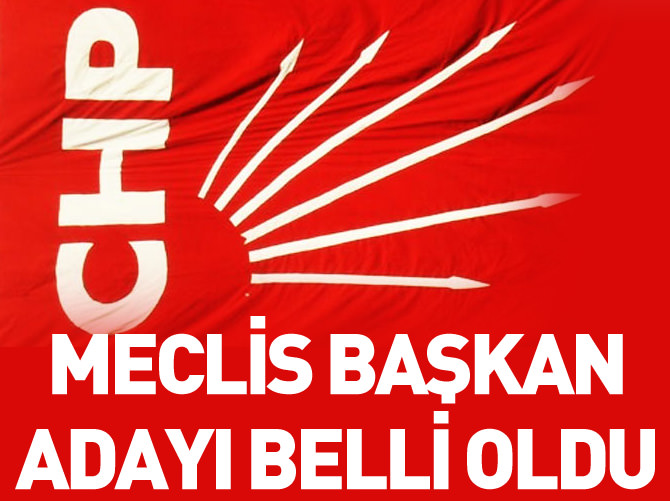 CHP'nin TBMM Başkan adayı Deniz Baykal