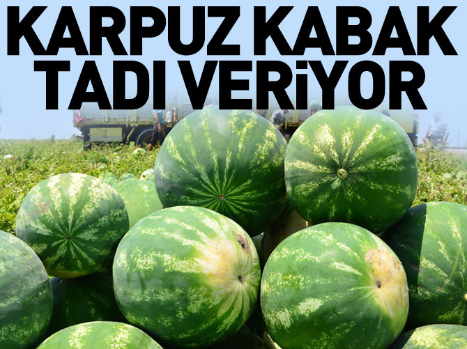 ‘Karpuz kabak tadı veriyor’
