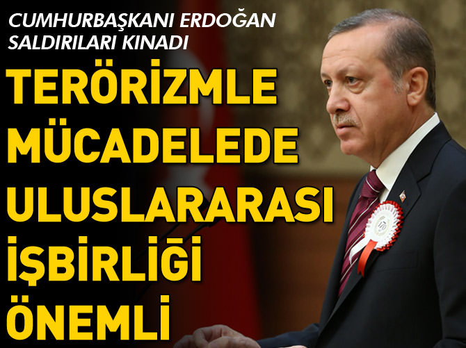'Terörizmle mücadelede uluslararası işbirliği önemli'