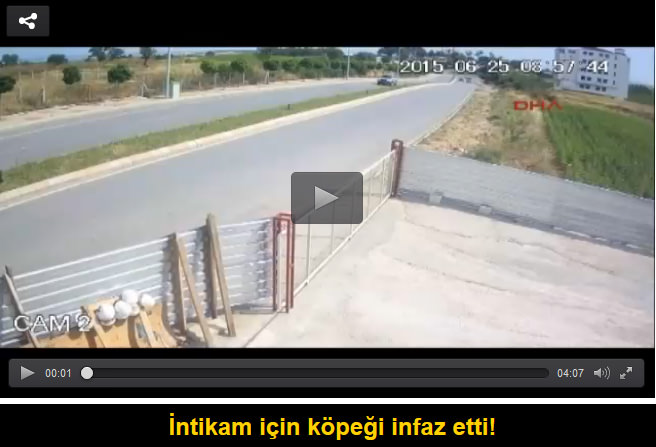 İntikam için köpeği infaz etti!