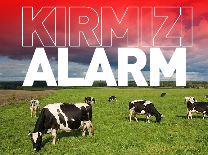 Kırmızı ette fiyat endişesi büyüyor