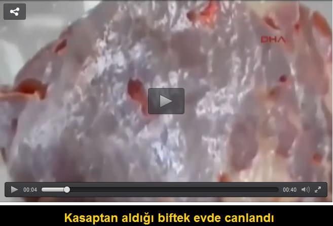 Kasaptan aldığı biftek evde canlandı! - 1