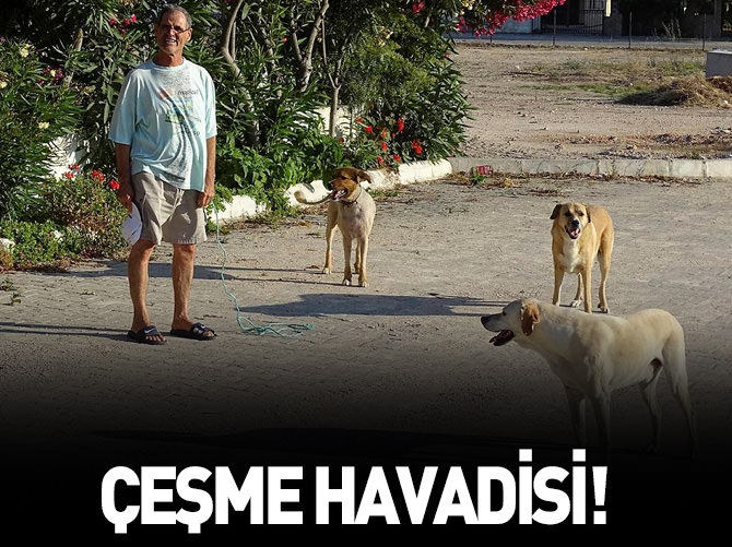 Çeşme havadisi!