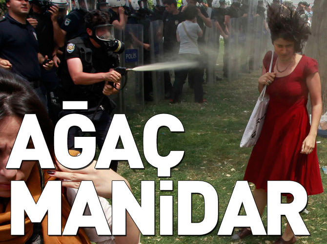 ‘Gezi olaylarının çıkış nedeni ağaç, karar manidar’