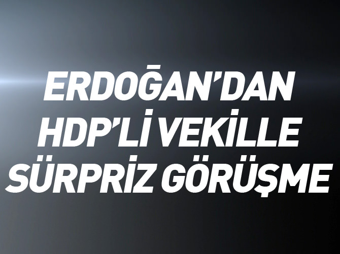 Erdoğan'dan HDP'li vekille sürpriz görüşme