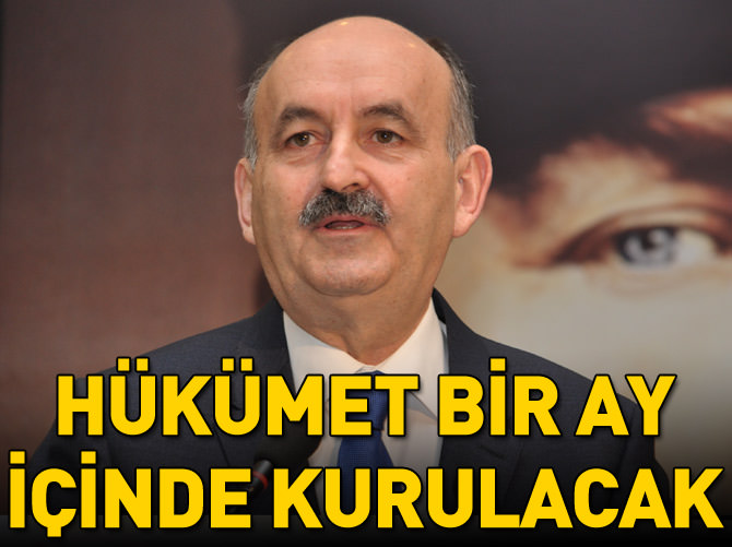 'Bir ay içinde hükümet kurulmuş olur'