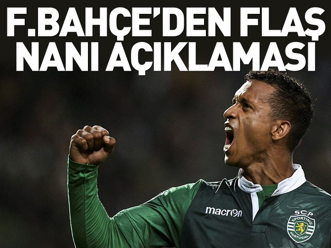 Nani bugün İstanbul'a geliyor