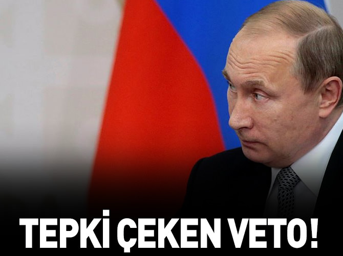 Rusya'dan iğrenç veto!