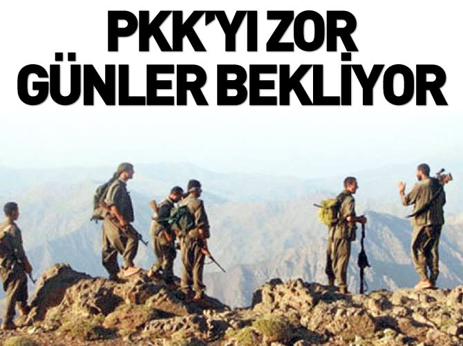 Arınç: 'Terör örgütünü zor günler bekliyor'