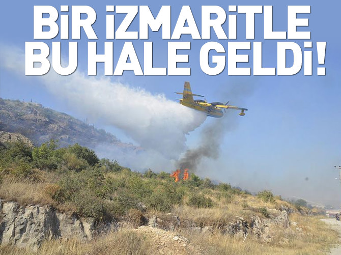 Bir izmaritle bu hale geldi!