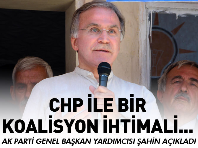 Mehmet Ali Şahin'den koalisyon açıklaması