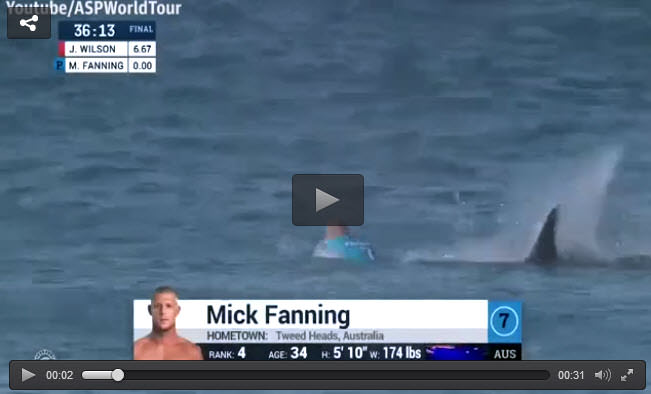 Şampiyon sörfçü köpekbalığı saldırısına uğradı