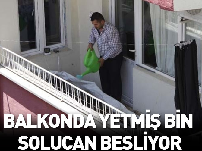 Balkonda 70 bin tane solucan besliyor!