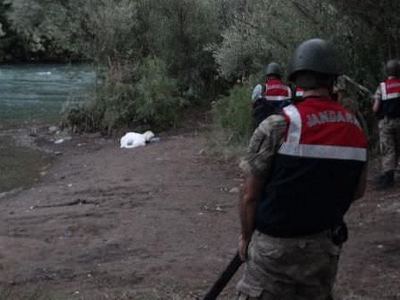 Tunceli'de vahşet!