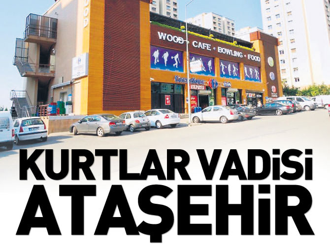 Kurtlar Vadisi Ataşehir!