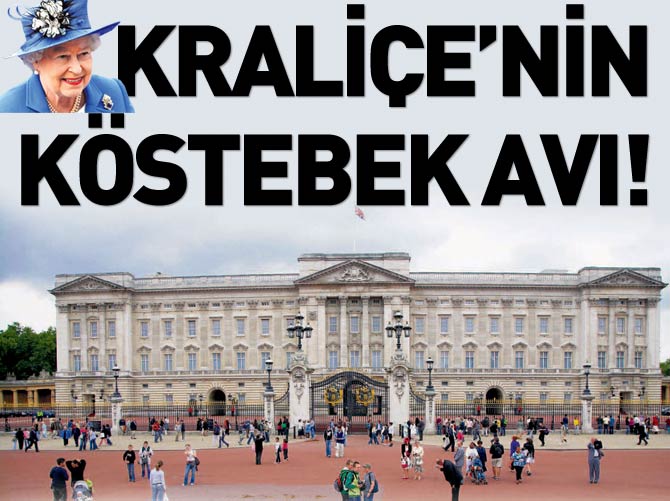 Kraliçe'nin köstebek avı