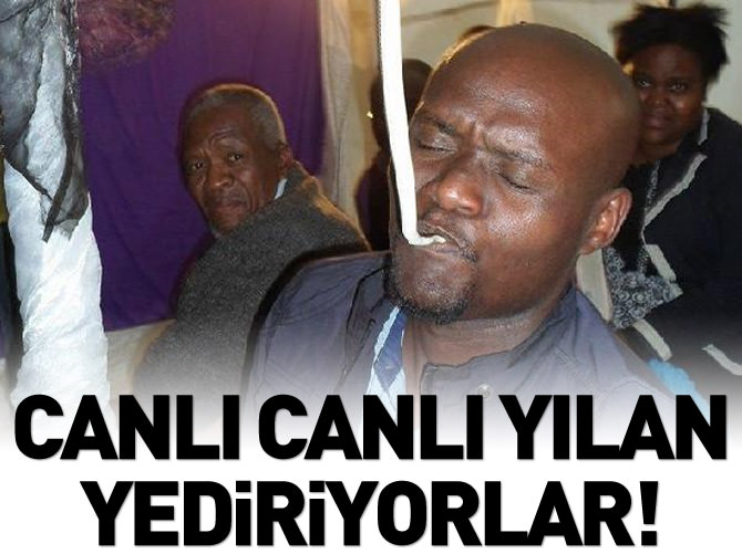 Canlı canlı yılan yediren G.Afrikalı papaza ceza