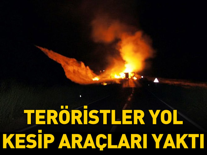 Kars'ta teröristler yol kesip araçları yaktı