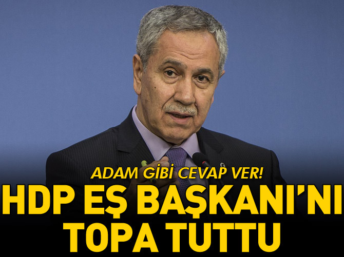 Arınç'tan Demirtaş'a sert tepki: Adam gibi cevap ver