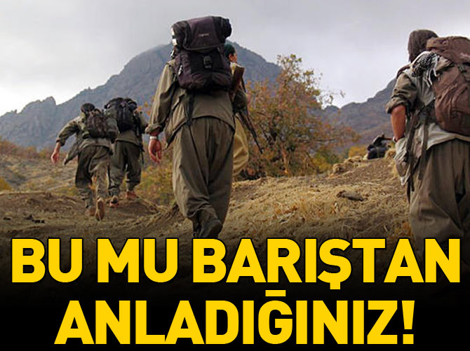 Bu mu barıştan anladığınız?