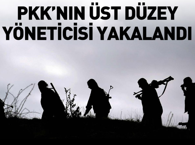 Suruç'ta PKK'nın üst düzey yöneticisi yakalandı