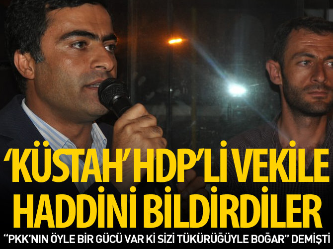 HDP'li Abdullah Zeydan'a 'tükürük' yanıtı