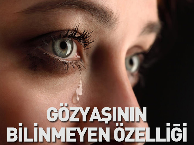 Bunları biliyor muydunuz!