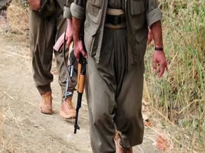 Bingöl'de eylem hazırlığı yapan 9 PKK'lı yakalandı