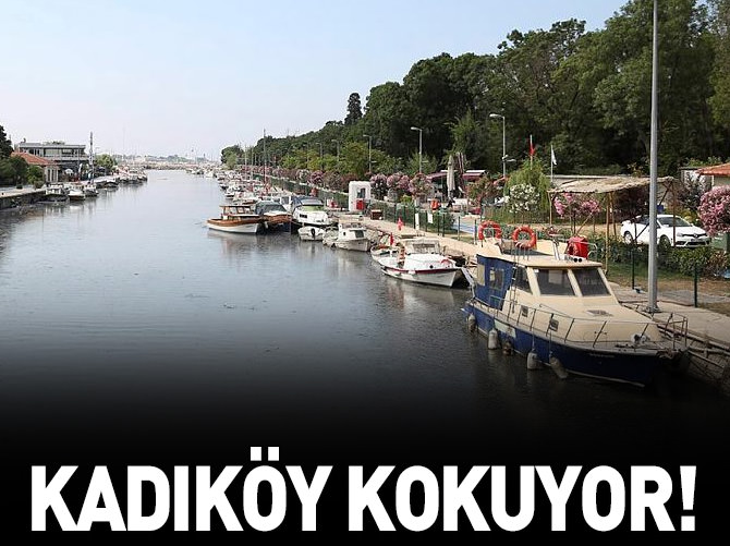 Kadıköy kokuyor!
