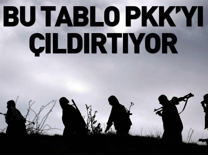 PKK'yı çıldırtan tablo