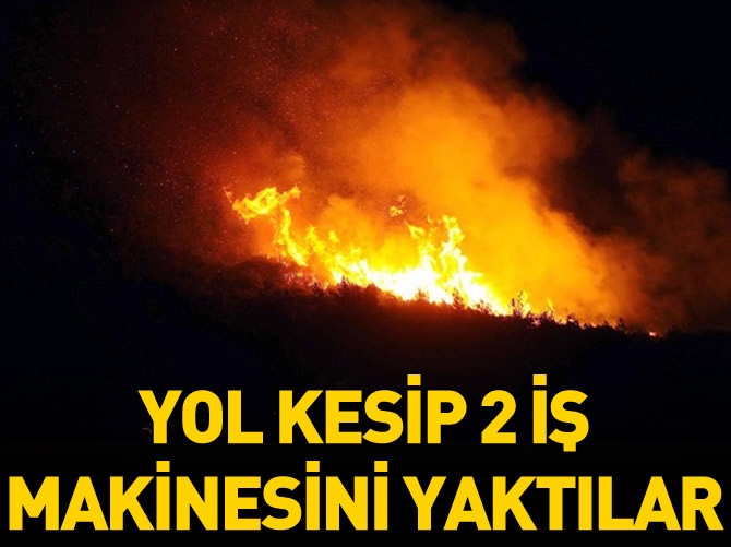 Yol kesen teröristler 2 iş makinesini yaktı