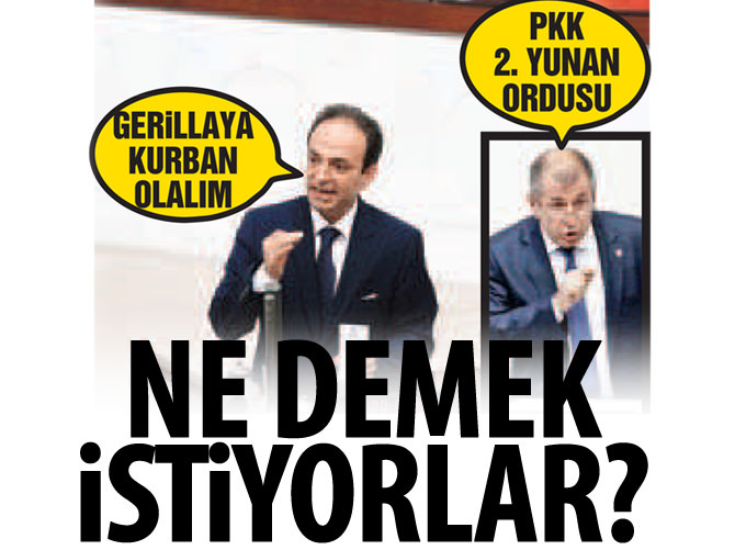 Baydemir: Gerillaya kurban olayım!