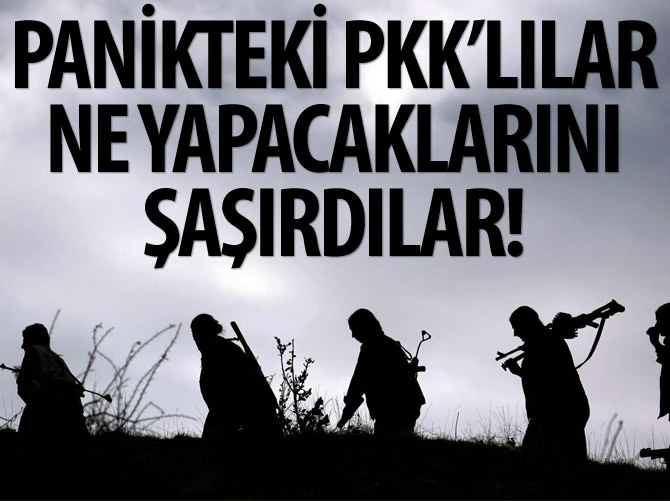 PKK'lılar ne yapacaklarını şaşırdılar!