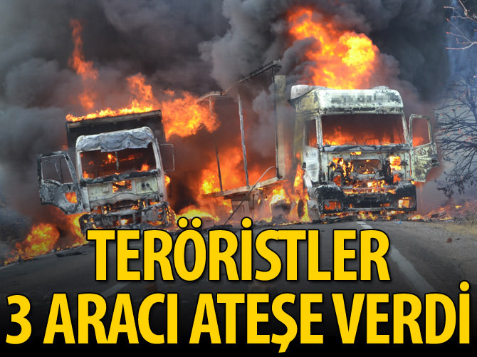 Yol kesen teröristler 3 aracı ateşe verdi