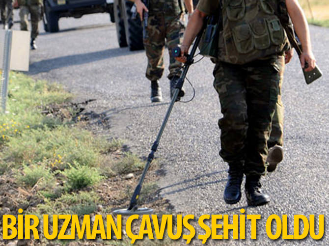 Kağızman'da bir uzman çavuş şehit düştü