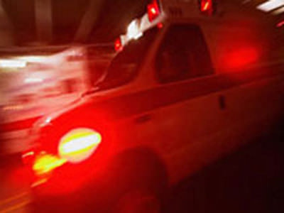 İki kardeş hırsızlık için girdikleri evin sahibini öldürdü