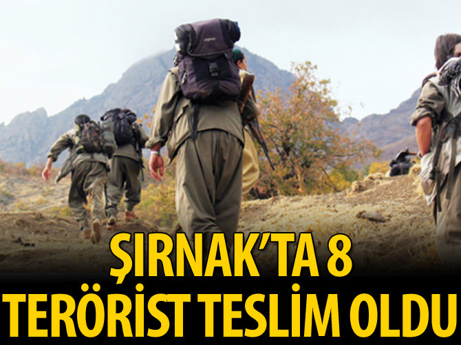 Şırnak'ta 8 terörist teslim oldu