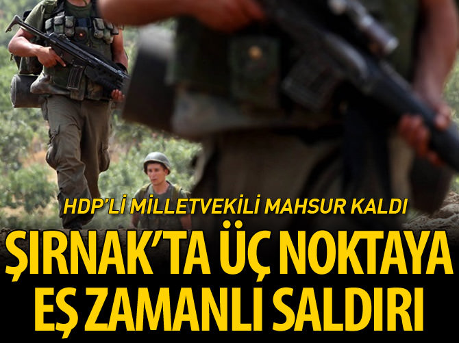 Şırnak'ta üç ayrı noktaya eş zamanlı saldırı