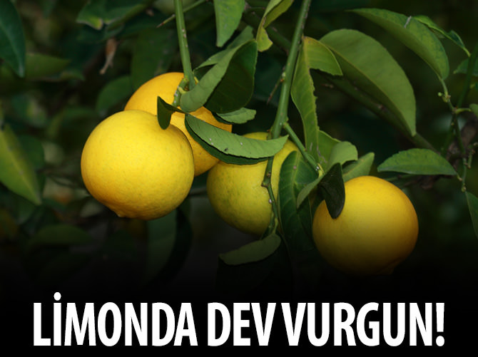 Mağara vurgunu