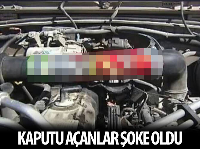 Kaputu açanlar şoke oldu