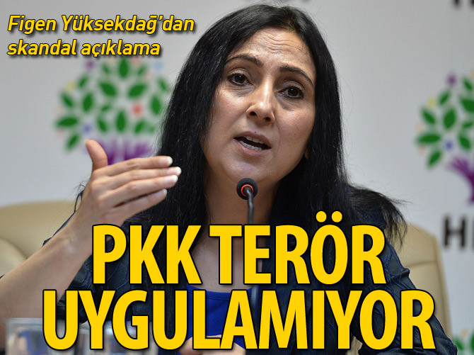 "PKK terör uygulamıyor"