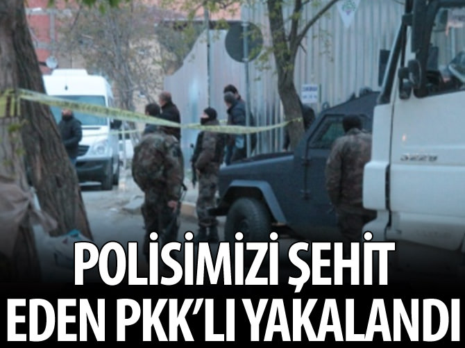 Polisimizi şehit eden PKK'lı yaralı ele geçirildi