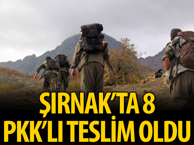 Şırnak'ta 8 PKK'lı teslim oldu